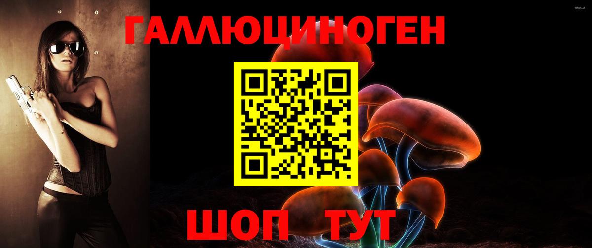 Галлюциногенные грибы Psilocybine cubensis Саки